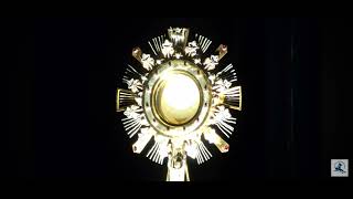 Ja nanovo se rađam: Snaga Euharistije u preobrazbi duše