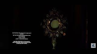 Pred Očima Krv Janjeta: Klanjanje u Presvetom Oltarskom Sakramentu kao Izvor Nove Stvorenosti