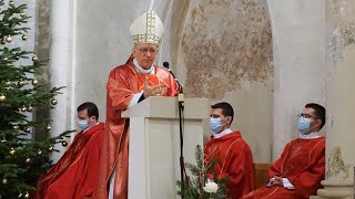 Svjedočanstvo vjere: Biskup Škvorčević o opredjeljenju za Krista u Hrvatskoj